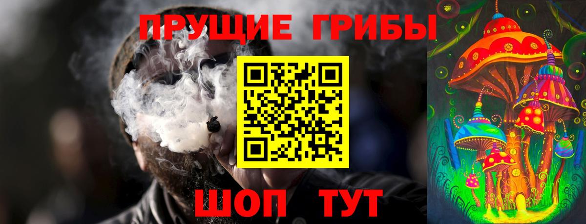 Галлюциногенные грибы прущие грибы  Вход с VPN  Назрань  Галлюциногенные грибы мухоморы 